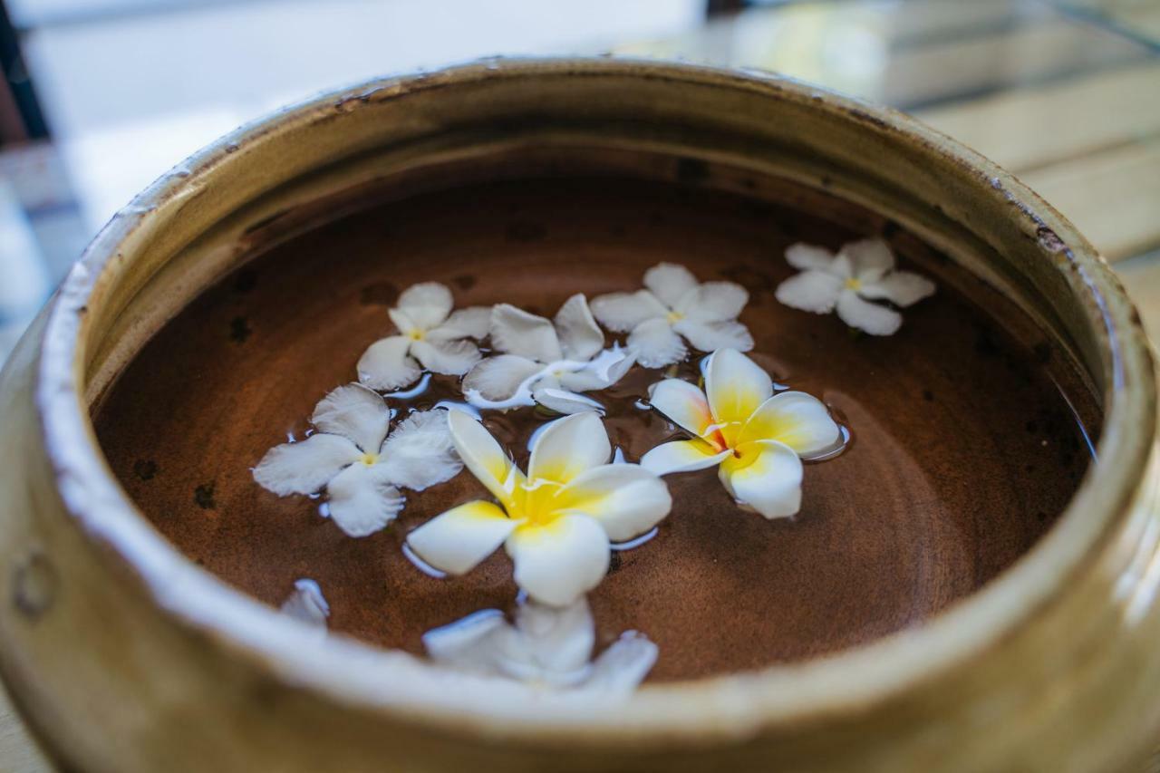 Hoi An Lotus Aroma Villa מראה חיצוני תמונה